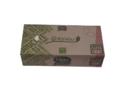 Ansiktsservett Grön 3 lager 20x21 cm 100 % återvunnen servett och förpackning, 21 st x 100 st/krt