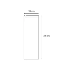 Blixtlåspåsar utan etikettremsor (L x B) 300 mm x 100 mm Transparent Polyeten 100 st