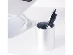 Desire2 D2PPSI