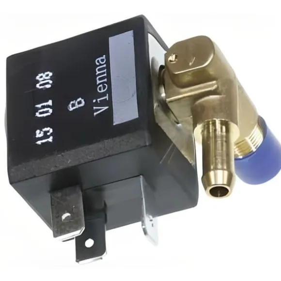 Elektroventil - Philips - GC862002 - Svart - Ångstation - Originaldelar