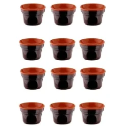 ERBJUDANDE 12 FÖR FÖR BAGNA CAUDA CM 14 BRUNA TERRE D'UMBRIA + 50 T-LIGHT LJUS SOM GÅVA