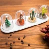 Krydddispenserlådor - 4 säsonger - Modernt design - 24,5 x 7,5 cm - Set med 4 stycken