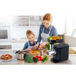 Köttkvarn BD-600 Berdsen 300/800W