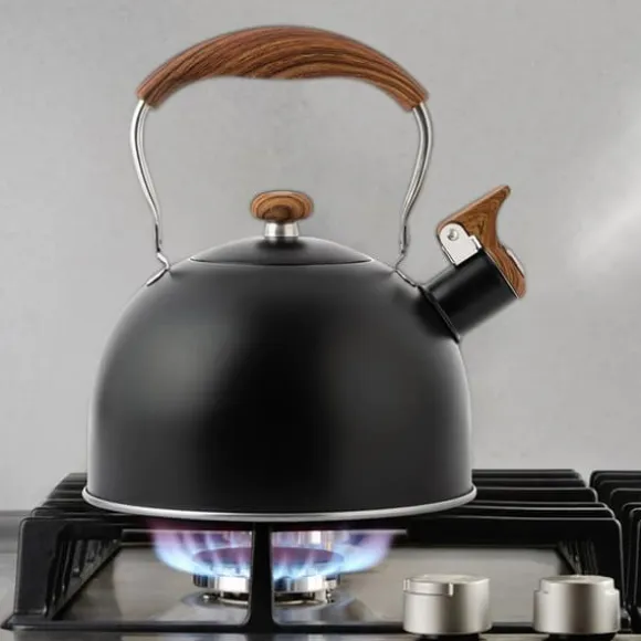 2,5 liter visselvattenkokare, Svart tekanna, kompatibel med gas- och induktionshällar, kan vissla