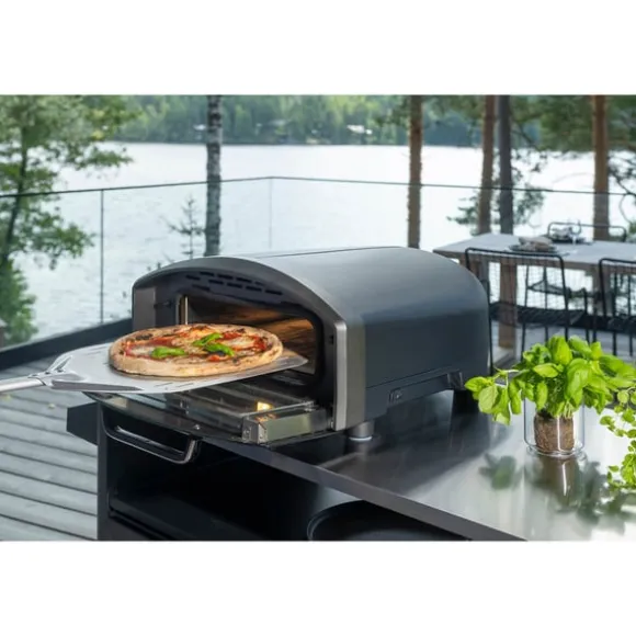 Mustang Pizzaugn Electric Astroni