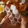 2-Pack Isform för Isbollar Runda Isbitar Iskubsform Kulor Plast