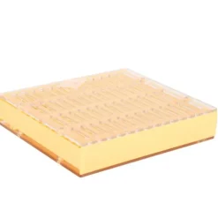 Portable Bee King Incubator - Ett säkert och effektivt biodlingsverktyg