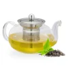 Robust tekanna med sil 600 ml
