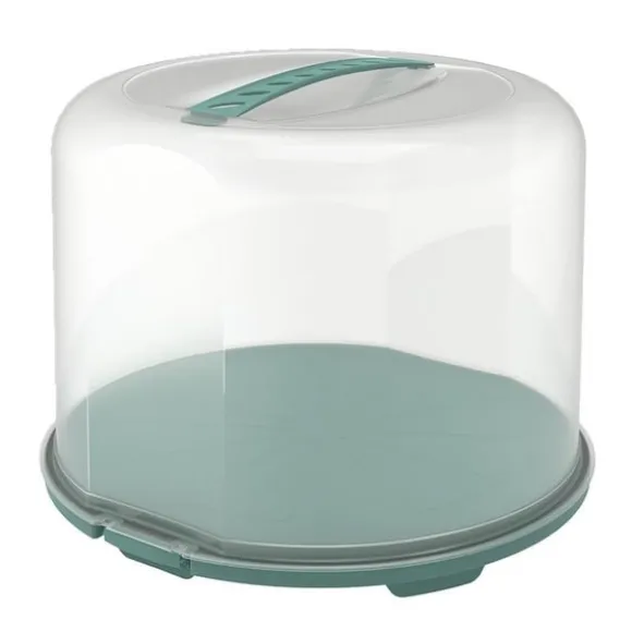 Rotho Fresh Cake Box XL 35,5x34,5x26 cm Mistelgrön/Transparent