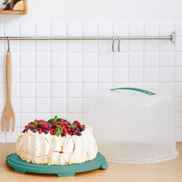 Rotho Fresh Cake Box XL 35,5x34,5x26 cm Mistelgrön/Transparent