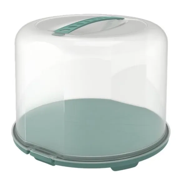 Rotho Fresh Cake Box XL 35,5x34,5x26 cm Mistel Grön/Transparent