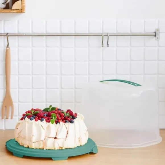 Rotho Fresh Cake Box XL 35,5x34,5x26 cm Mistel Grön/Transparent