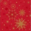 Serviet Duni 24 x 24 cm 3-lag Stargazing Red,20 pk x 50 stk/krt