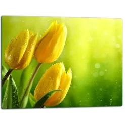 SKÄRBRÄDA I GLAS 52x40 BLOMMOR