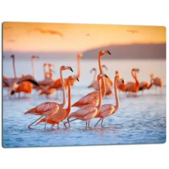 SKÄRBRÄDA I GLAS 52x40 FLAMINGO BEACH
