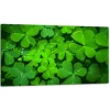 SKÄRBRÄDA I GLAS 52x30 GRÖN