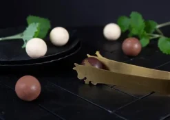 Tång Liten Mumin