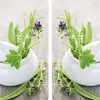 Wenko HERB GARDEN glasskyddsplattor för spis - 2 stycken, WENKO
