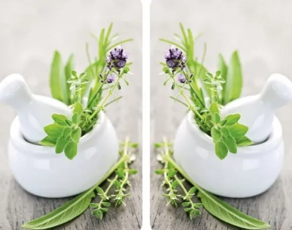 Wenko HERB GARDEN glasskyddsplattor för spis - 2 stycken, WENKO