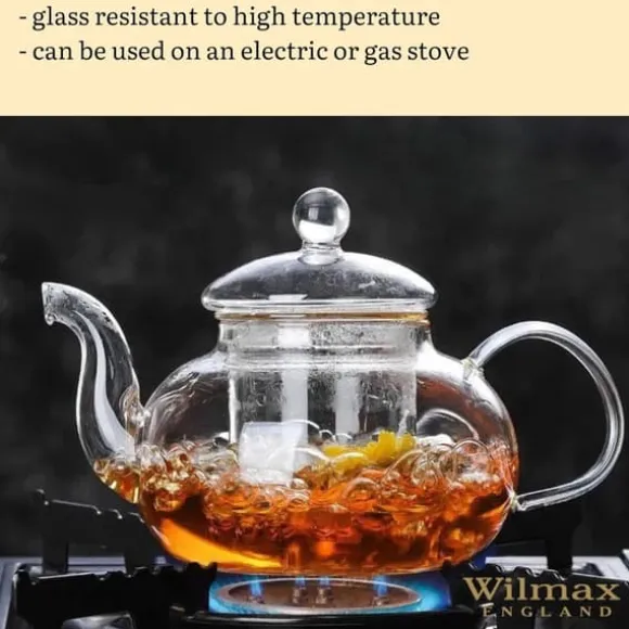 Wilmax tekanna i glas 620 ml med glasfilter, spissäker